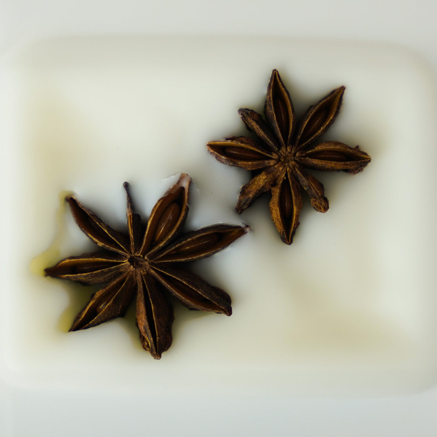 Chai Latte (Melt)