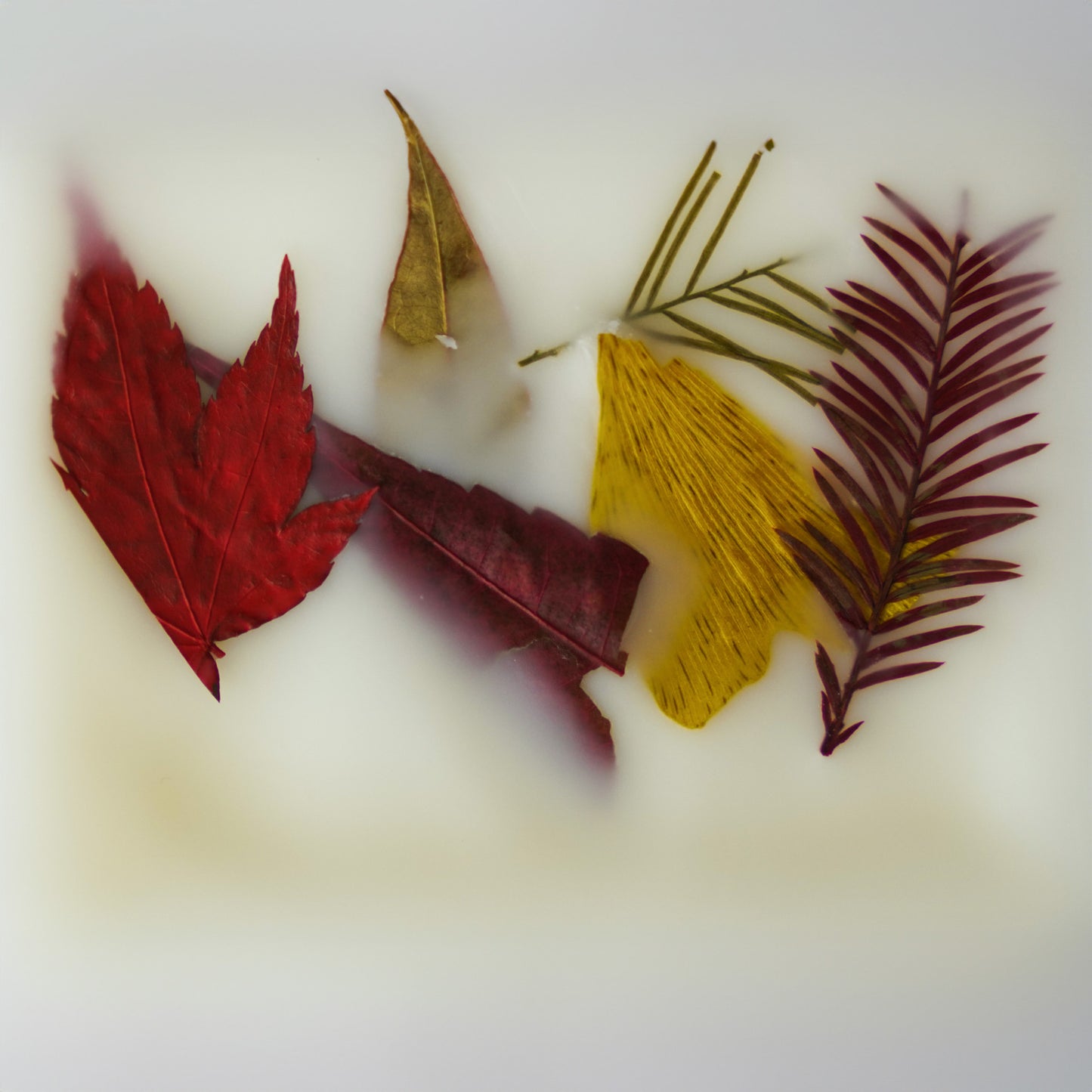 Autumn Air (Melt)